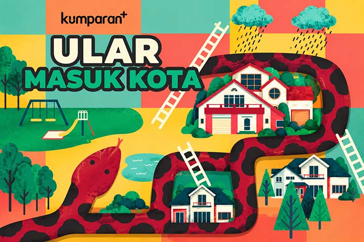 Waspada Ular Masuk Kota